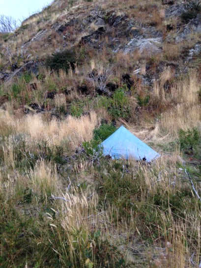 Campamento Pine Grande